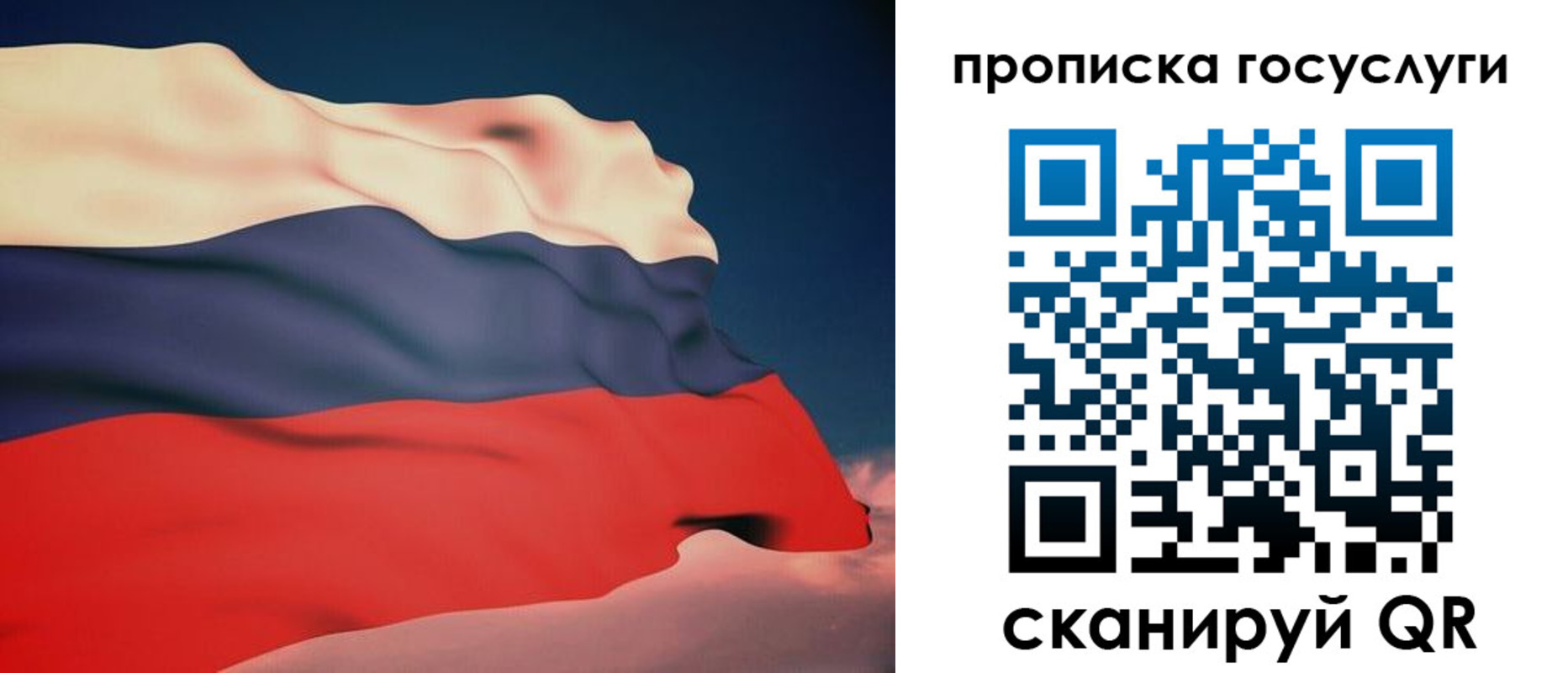 временная регистрация в Палласовке