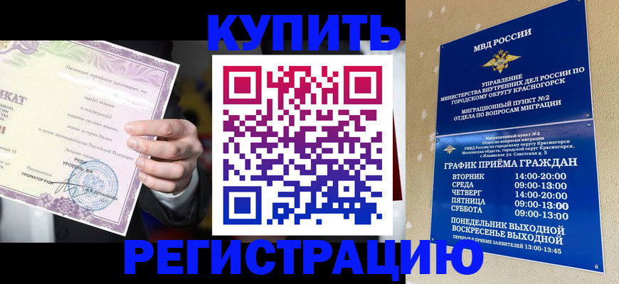 временная регистрация собственник в Палласовке